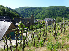 DE - Dernau - Kloster Marienthal