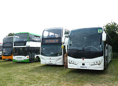 At The Big Bus Show, Stonham Barns - 11 Aug 2024 (P1190116)