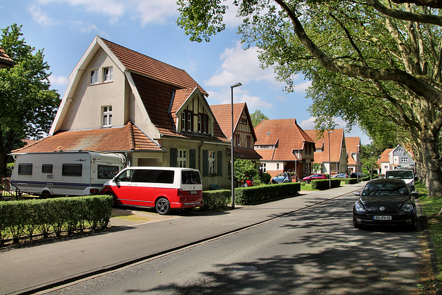 Baarestraße (Siedlung Teutoburgia, Herne-Börnig) / 25.05.2019