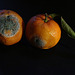 Mandarines au Roquefort vendues dans une cagette la veille dans un hypermarché du côté de Saran . .