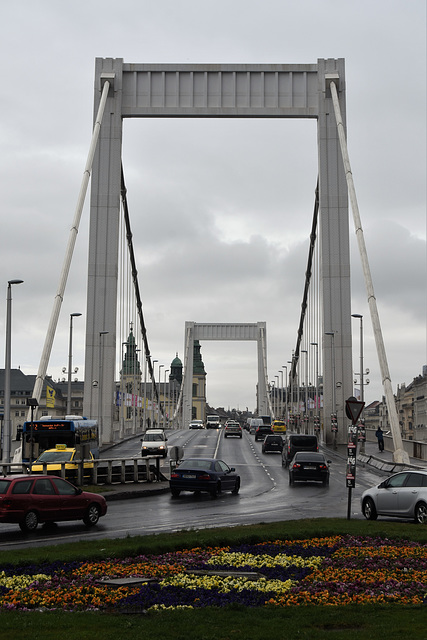 Elizabeth Bridge