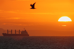 EOS 90D Peter Harriman 07 18 59 22745 sunriseWeymouthBay dpp