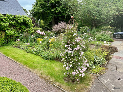 Summer morning in the courtyard
