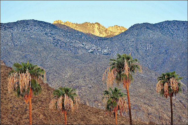 Early AM - Palm Springs, California