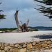 Carmel Beach, California