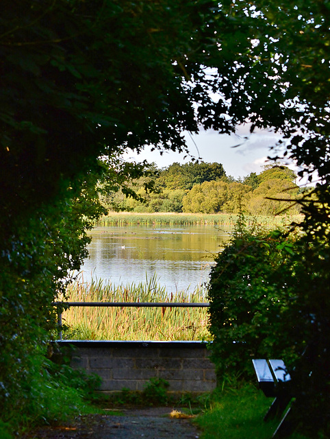 Approaching the Lake