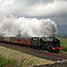 LMS class 7P Royal Scot 46115 SCOTS GUARDSMAN at Greengate near Warton Settle - Carlisle route on 1Z87 Carlisle - Euston 20th May 2017.