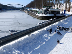 Winter am Mittellandkanal