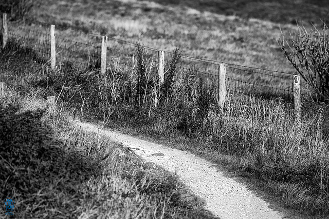 Ligne de cheminement le long de la côte - Sentier du Blanc Nez