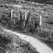 Ligne de cheminement le long de la côte - Sentier du Blanc Nez