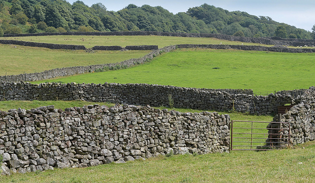 HWW ~ The dry stone walls of Reeth