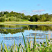 Big Water Nature Reserve,Newcastle