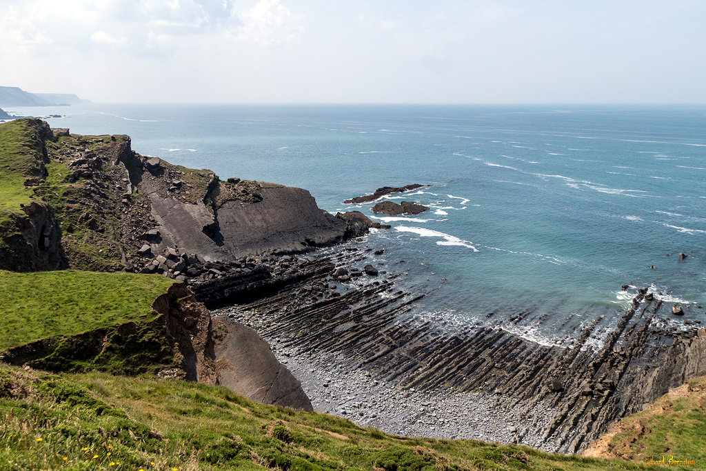 Coast near Hartland