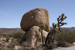 Joshua Tree National Park