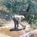 Banias (Israel) the best way of cleaning Banias in 1972