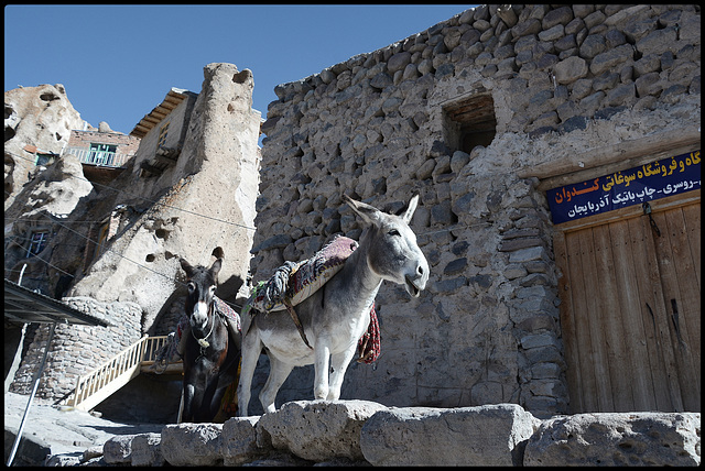 HFF from Kandovan ( with animals)