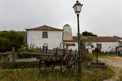 Mata Pequena, Portugal