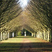 Anglesey Abbey 2011-11-25 044