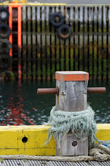im Hafen von Stykkishólmur (© Buelipix)