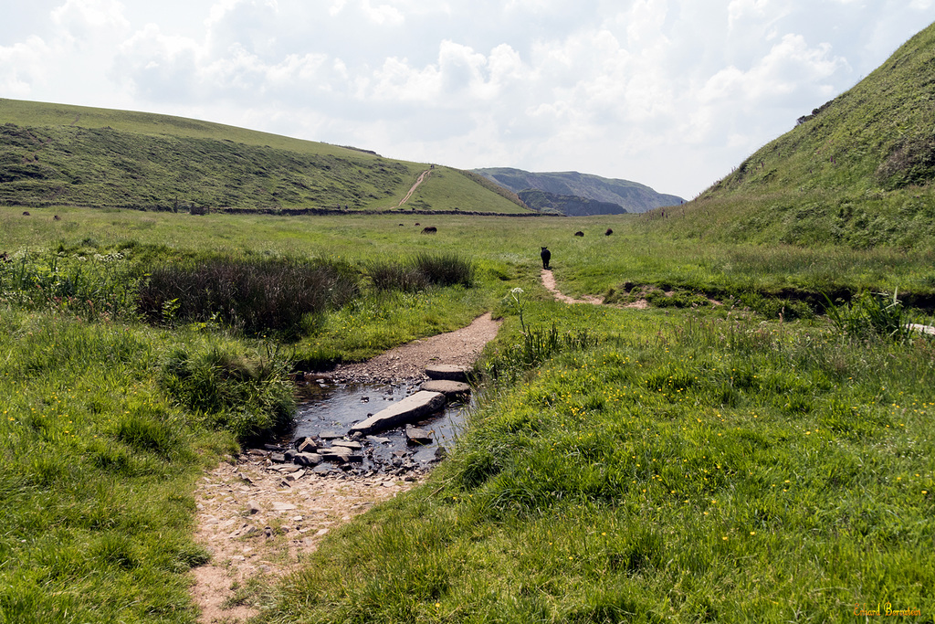 Coast Path