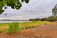 P1260998- Lac Pamamaroo -  Menindee Lakes.  05 mars 2020