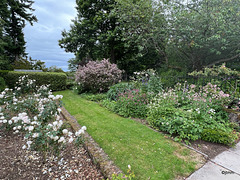 Summer morning in the courtyard
