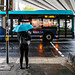 Umbrella