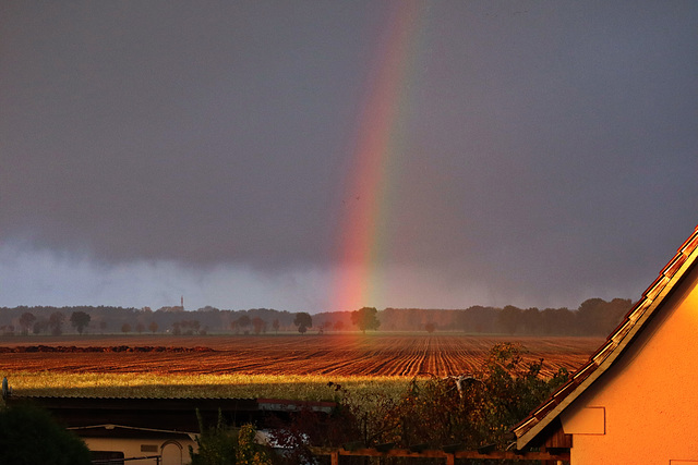 Regenbogen