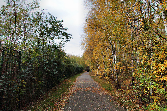 Radweg auf der ehem. Almabahn (Gelsenkirchen-Ückendorf) / 14.11.2020