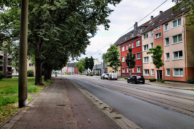 Steeler Straße (Essen-Huttrop) / 15.06.2024