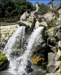 Caserta, Fontana dei Delfini