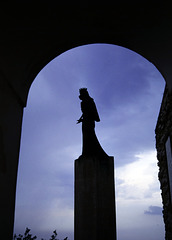 MEDIAFIX IMG 1754