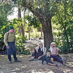 Banias -  Druze Arabs enjoying the natural reserve of Banias.  (Israel