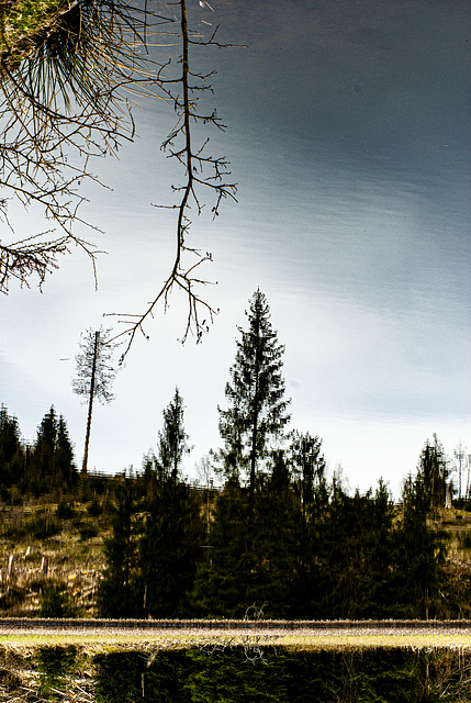 20240327_benneckenstein_wanderung (d200)