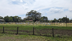 Cimetière de campagne en Malaisie