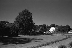 White house