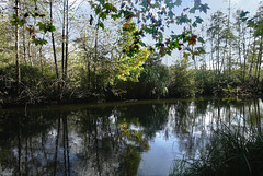 Buissons d'Essonne, moisson d'automne. Et vice versa