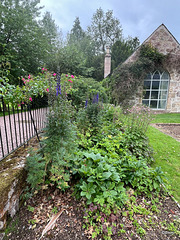 Summer morning in the courtyard