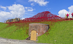 Poppies: Wave..........Fort Nelson, Portsmouth (1)