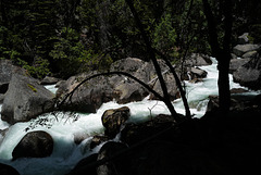 Yosemite Nat Park, Merced river L1020334