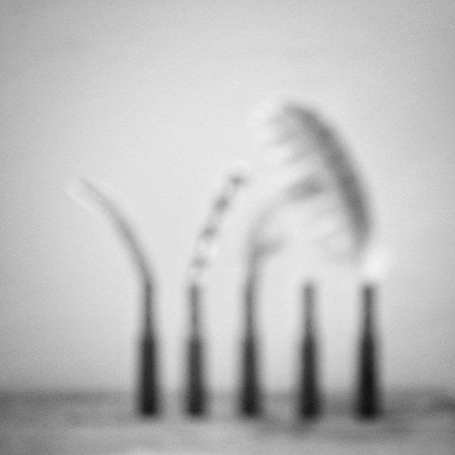 unfocused b&w