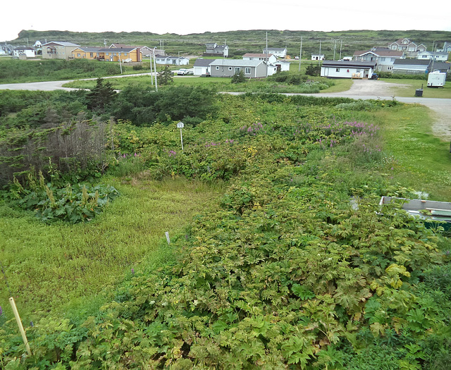 Jardin de la Basse Côte Nord du Québec