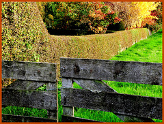 Gate and Hedge