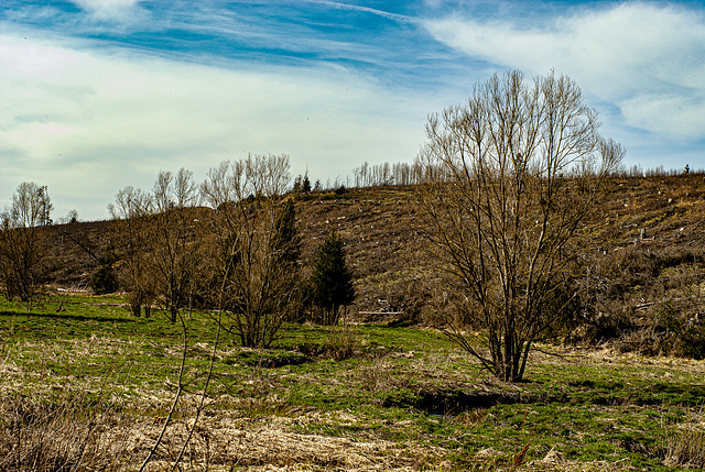 20240327_benneckenstein_wanderung (d200)