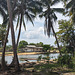 Tas de cocos en vue / Heaps of dried coconuts