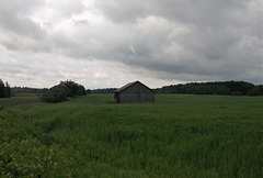 Au milieu de la nature