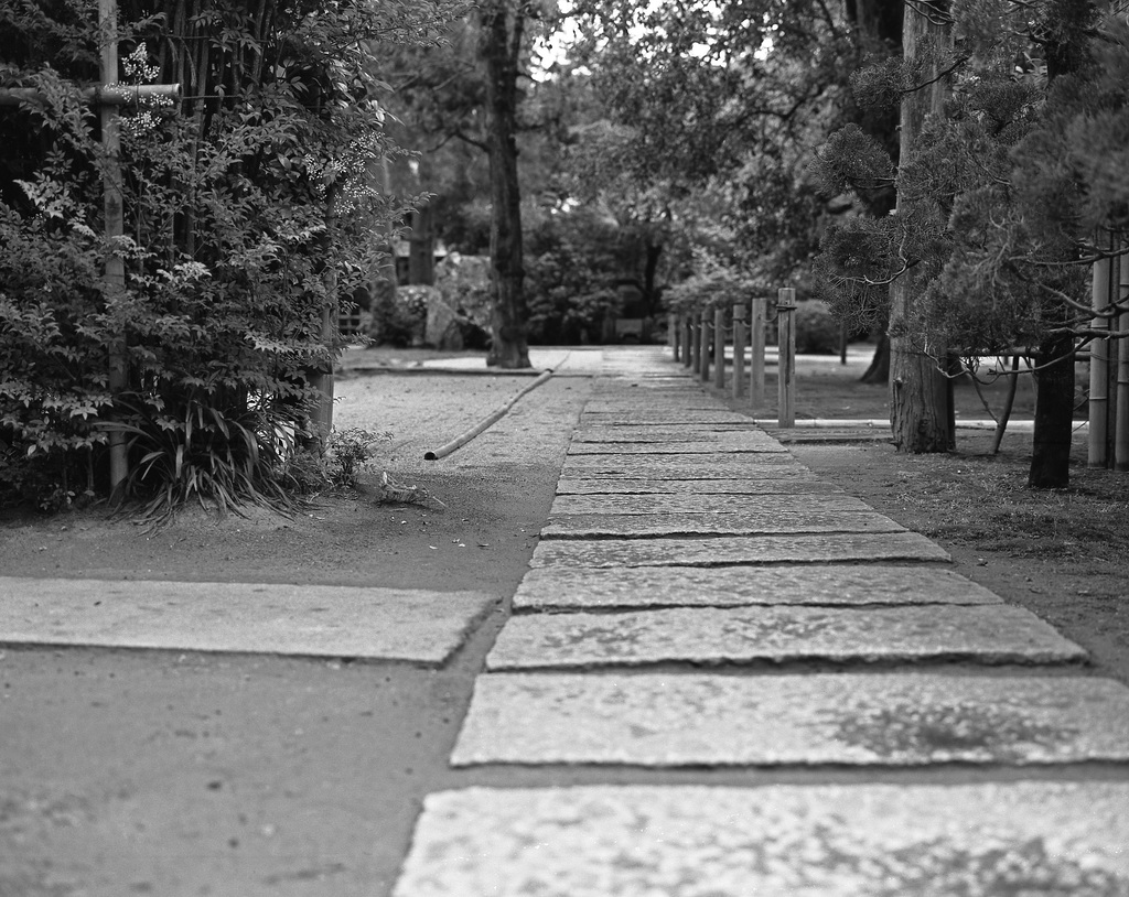 Stone path on the temple ground