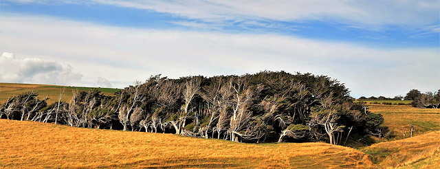 New Zealand