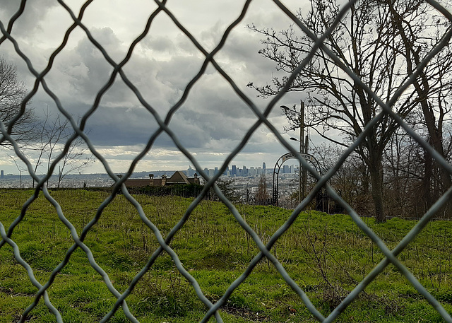 Duch den Zaun .... ein Blick auf Paris