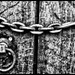 CHAINED GATE